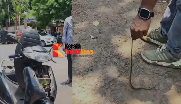 A snake climbed onto a trader's scooter on Kannur Press Club Road, causing panic.