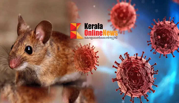 It is unlikely to be a deadly pandemic like Covid; there is no need to fear Hanta virus, says World Health Organization