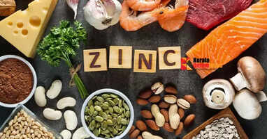 zinc foods