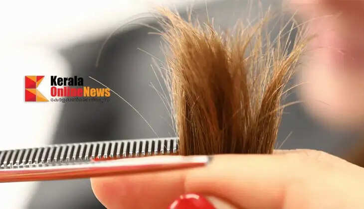 hair split