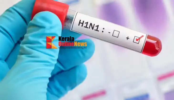 H1N1