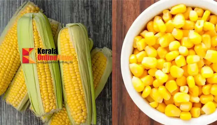 eatcorn