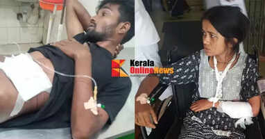 Assamese couple who stabbed each other with a knife following a family dispute have been shifted to Kannur Government Medical College