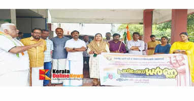 Attempts to sabotage salary revision of government employees will not be allowed PP Ali