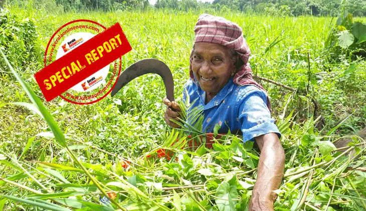 Devuchechi with her memories of Njattuvela in the field of memories