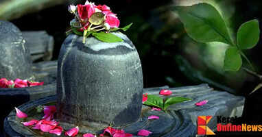 Why is it said that the leaves of the koovala should not be plucked on certain days