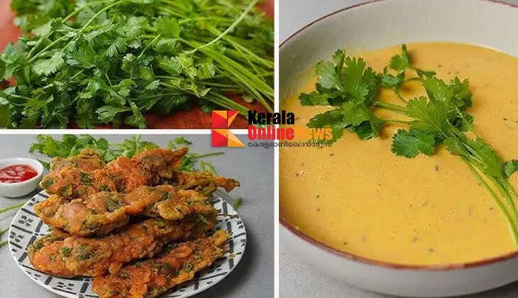 Coriander Leaf bajji