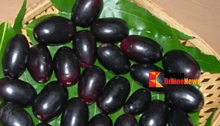 naval pazham