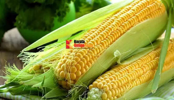 corn