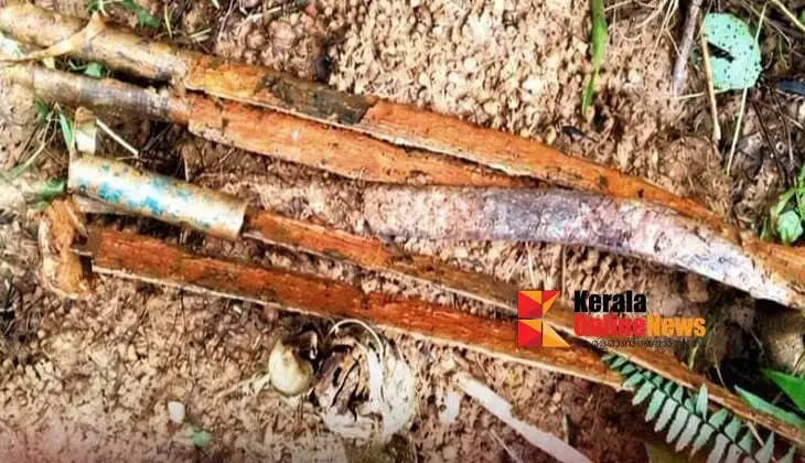 Five machetes were found in Kannavam Vayal.