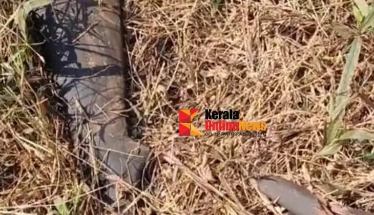 Remains of a country-made gun found at Aralam farm