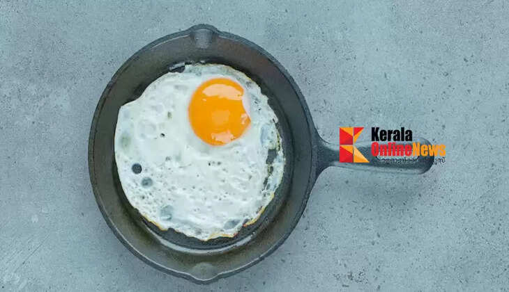 egg omlet