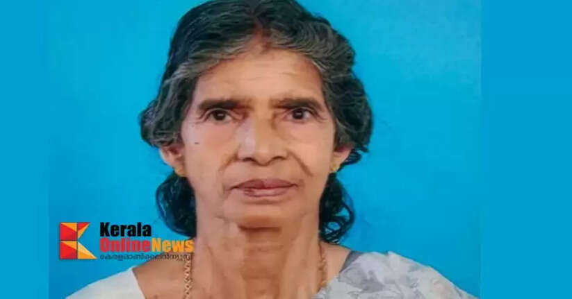 Elderly woman dies after consuming pesticide in Kannur