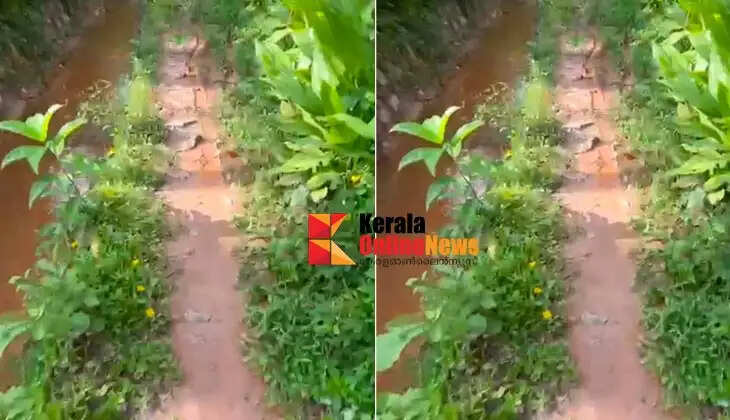 The Anappalam&ndash;KS Road walkway has turned into a mud pit, making it impossible to walk through.