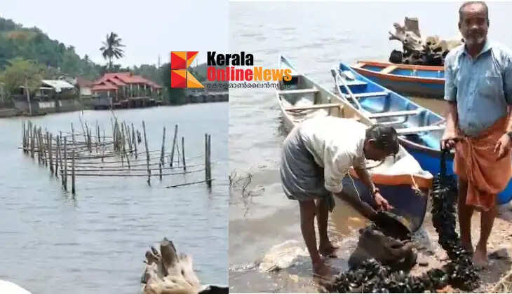Kallummakaya's 'Mangalassery Peruma'; A group of youth with a success story