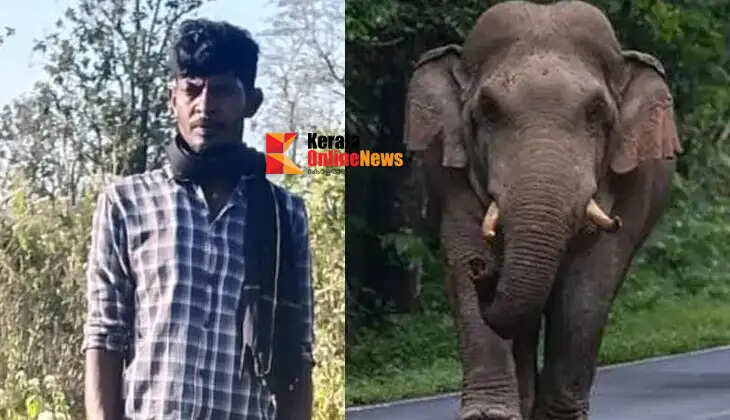 Temple priest killed by wild elephant in Masinagudi