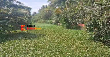 A popular group is preparing to restore the Kolara River, which has stopped flowing due to garbage