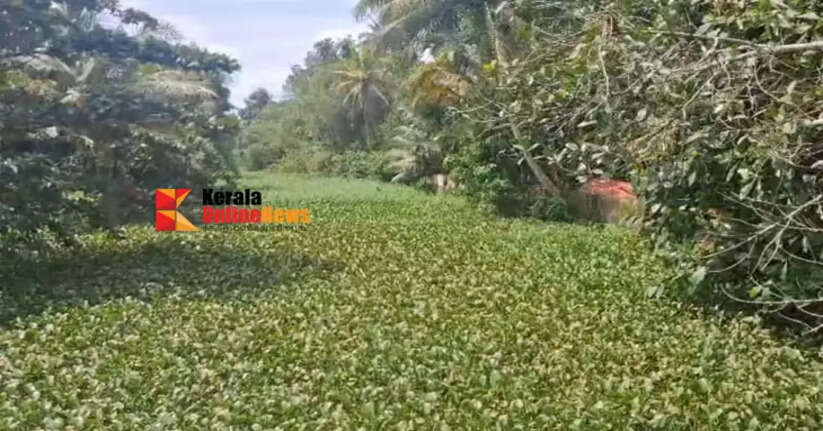 A popular group is preparing to restore the Kolara River, which has stopped flowing due to garbage