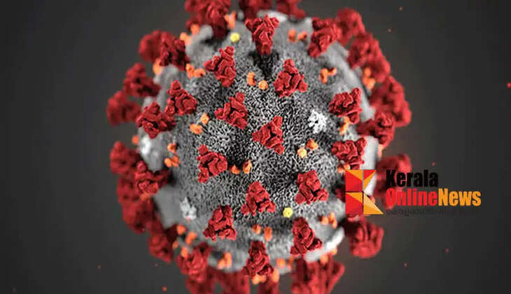 More than 22.1 crore people have died worldwide; World Health Organization releases Covid figures