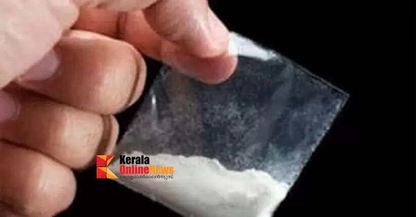 Filmmakers from Kannur arrested for being intoxicated in Kochi