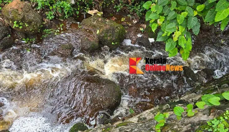 Toilet waste dumped in Bakkalam field in Taliparamba; Severe threat to local residents and the agricultural sector, public protest intensifies