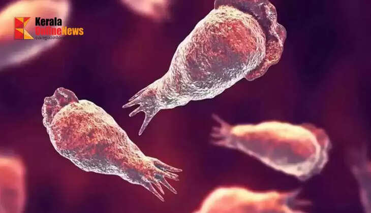 Improvement in the health status of a child with amoebic encephalitis in Kozhikode