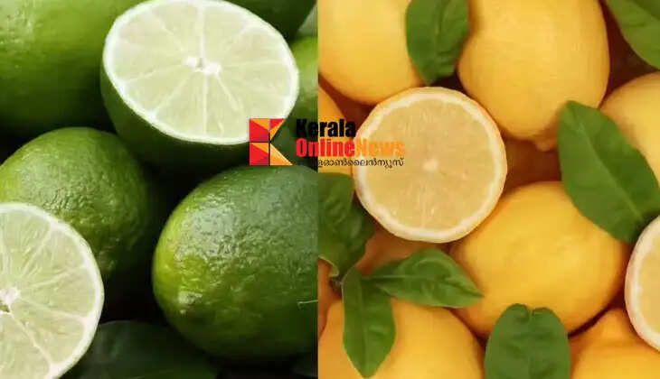 Lemon prices soar in summer heat; traders worried