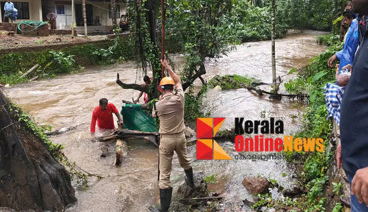 A man in his fifties went missing after being swept away in the Chembanthotti stream in Kannur; Fire Force and locals have intensified the search for Saji (50) in Muthukatti.