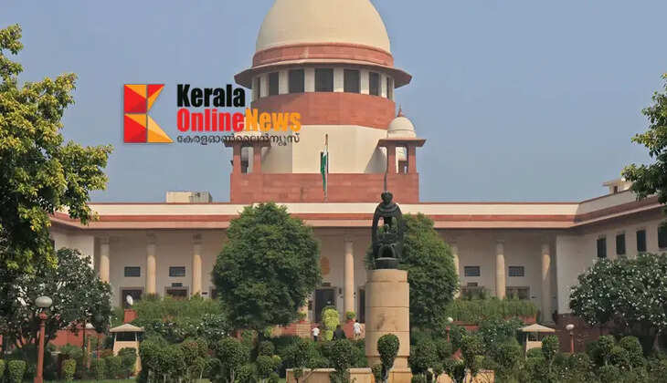 Setback for animal lovers; Supreme Court will not withdraw order to shift stray dogs to rehabilitation centers