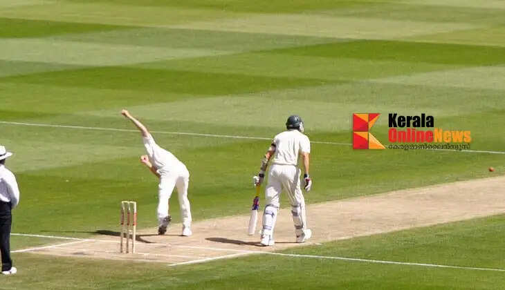 Cricket