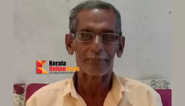 A householder died after being stung by a wasp in Pappinissery.