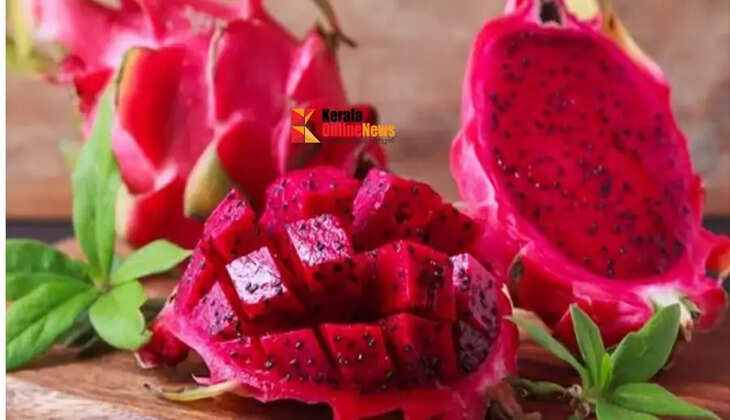 DRAGON fruit