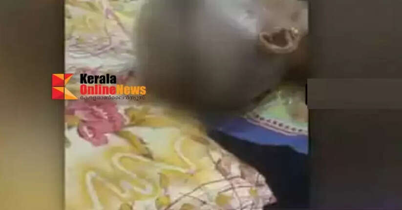 Mother who burned 10-year-old son drowns with boyfriend after seeing him making video call, asks who he is