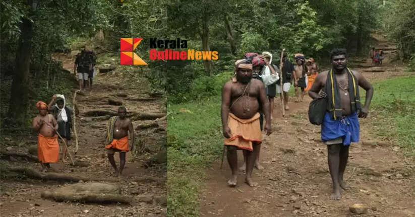 Thousands of devotees cross the Kanana Path to reach the holy shrine in Sabarimala
