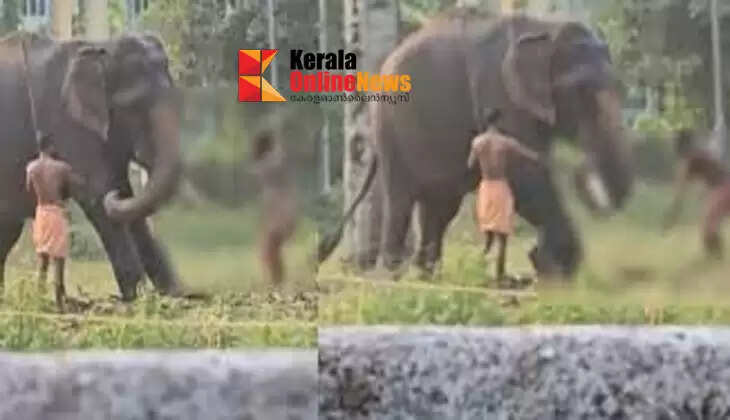 Haripad incident: Six-month-old baby falls in front of elephant: Abhilash, the child's father and temporary father, arrested