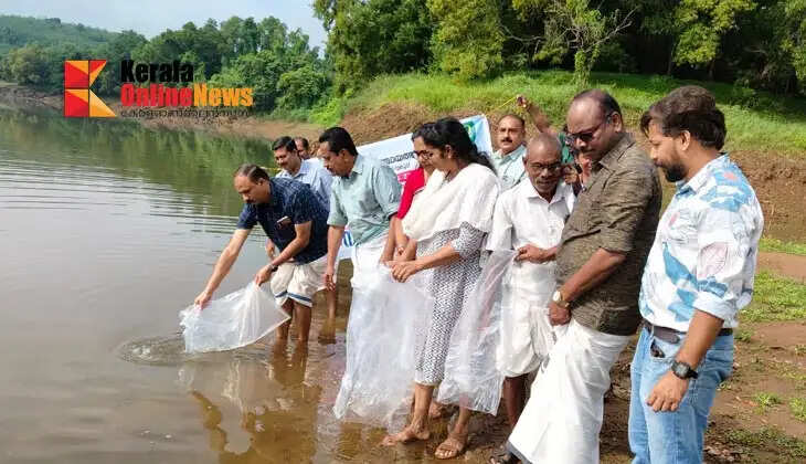 One lakh fish fingerlings were released at Poovvam Kadavu.