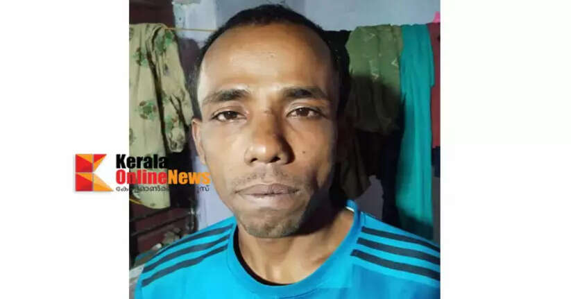 Interstate worker arrested with ganja in Wayanad
