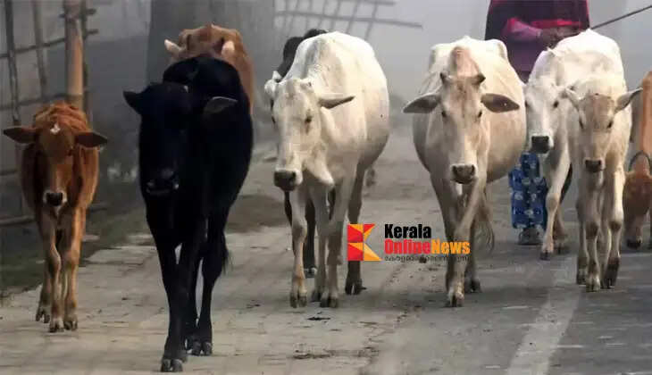 'Birth certificates should be produced to prove the age of cattle taken for slaughter': BJP MLA in Bengal
