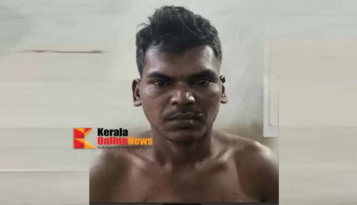 Wayanad Bathery police arrests notorious criminal Veeramani Accused in 24 cases inside and outside the state