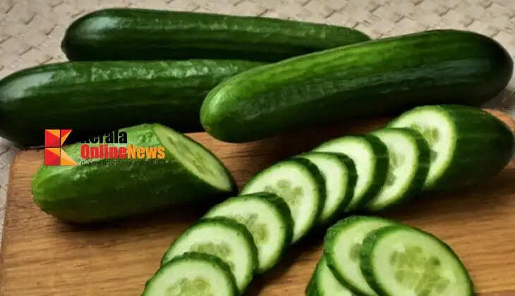 Cucumber