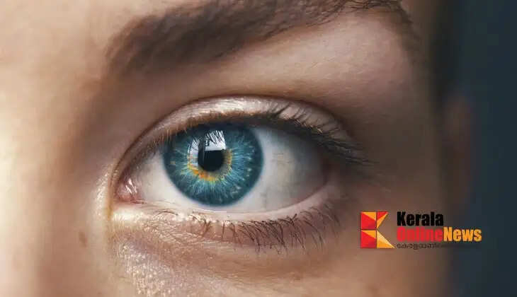 eye