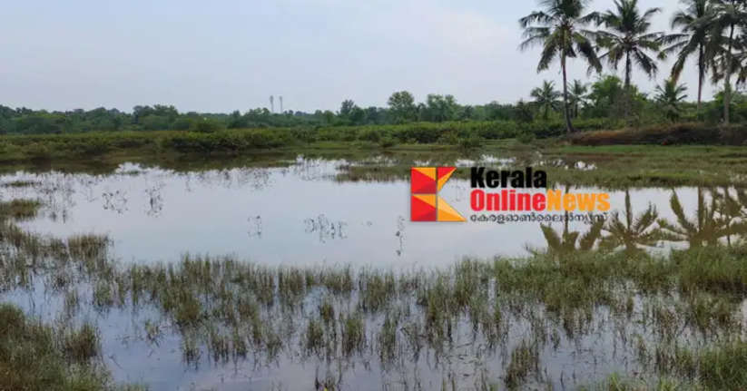 75 lakhs administrative approval for construction of Kannur Kunian salt water resistance bund