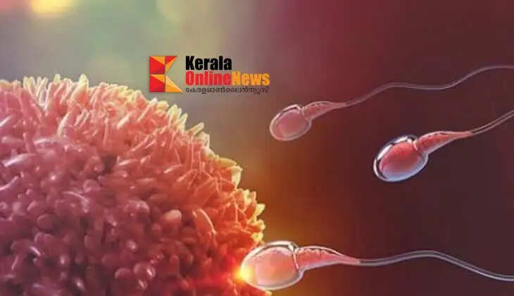 sperm 