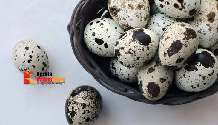 Young people are showing increasing interest in quail farming