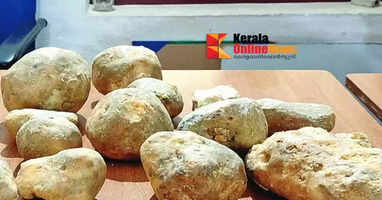 Police seize whale vomit worth crores in Goa