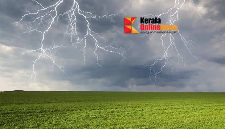 Two youths die after being struck by lightning while working in a field in Karnataka