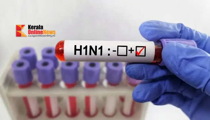 h1n1