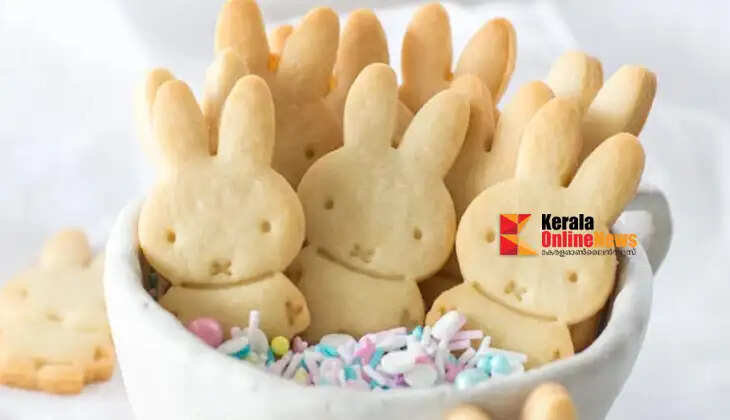 bunny