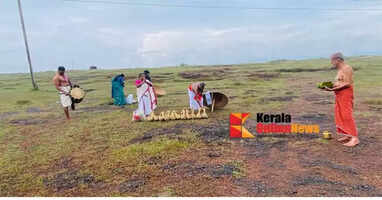 Full of devotion, fresh paddy was offered to Maadayikavilamma.