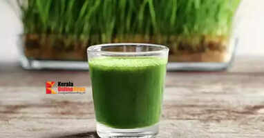 wheatgrass